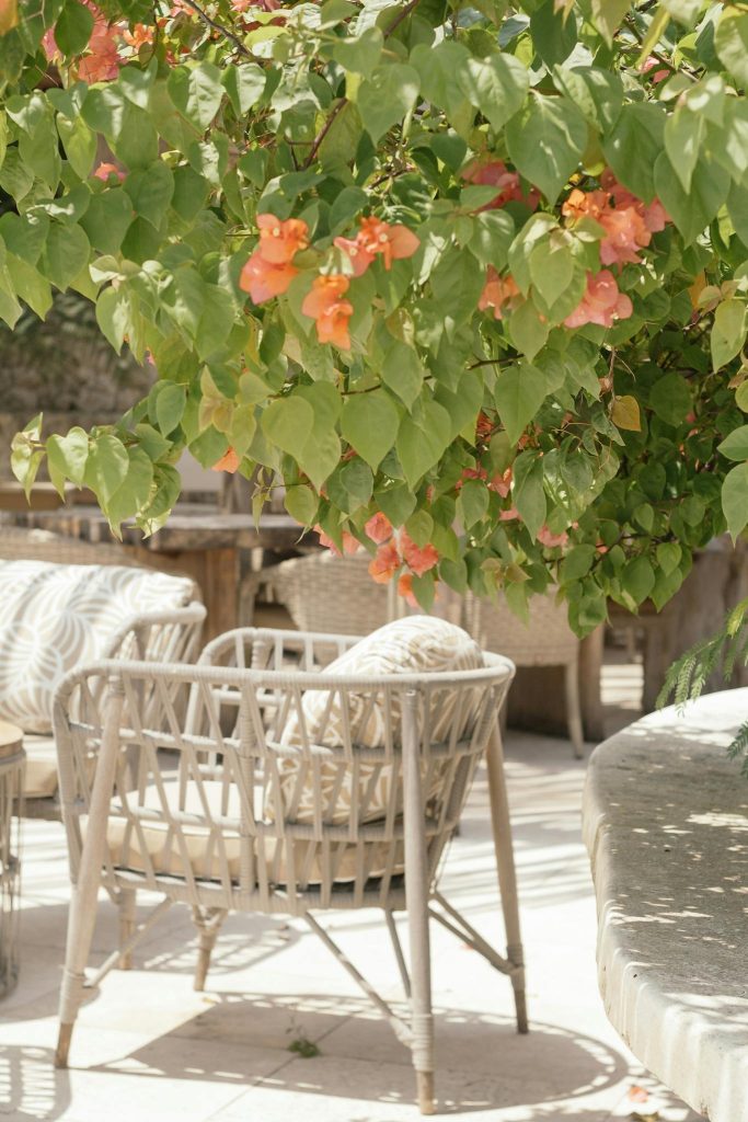 Stylish outdoor patio with rattan furniture set against blooming bougainvillea in summer light.